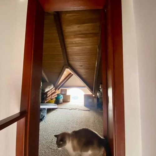 WhatsApp Image 2026-02-09 at 9.26.55 PM