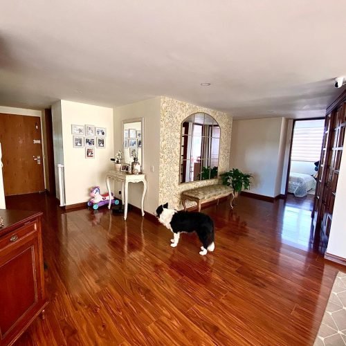 WhatsApp Image 2026-02-10 at 1.52.49 PM