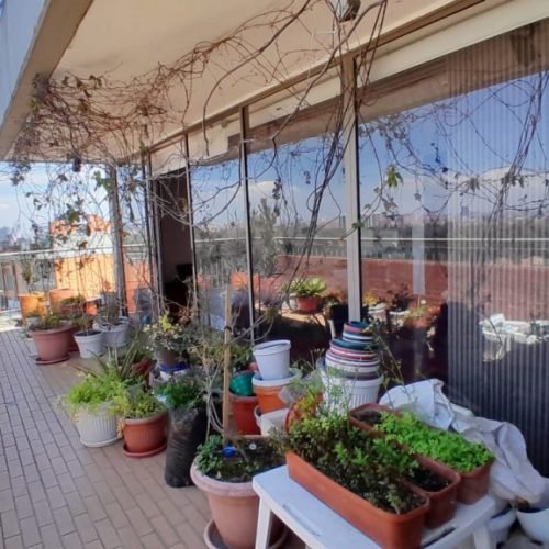 WhatsApp Image 2026-02-10 at 1.52.55 PM (5)