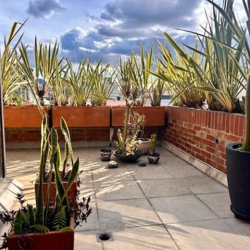 WhatsApp Image 2026-02-11 at 10.33.51 AM